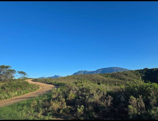 539HA FARM FOR SALE IN RIVERSDALE RURAL